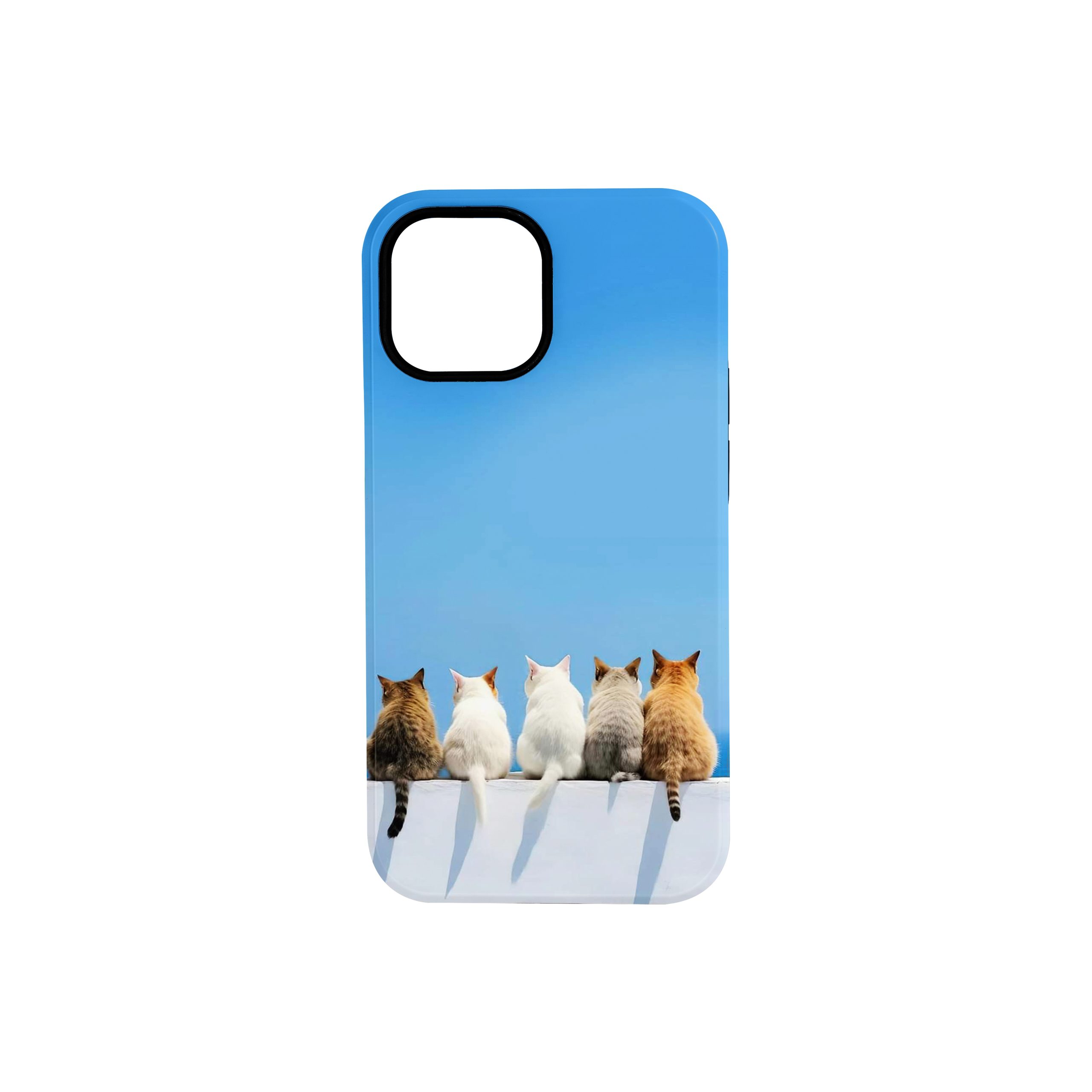 خرید قاب دو لایه مدل آیفون Mini 13 طرح گربه | ضد ضربه و مقاوم