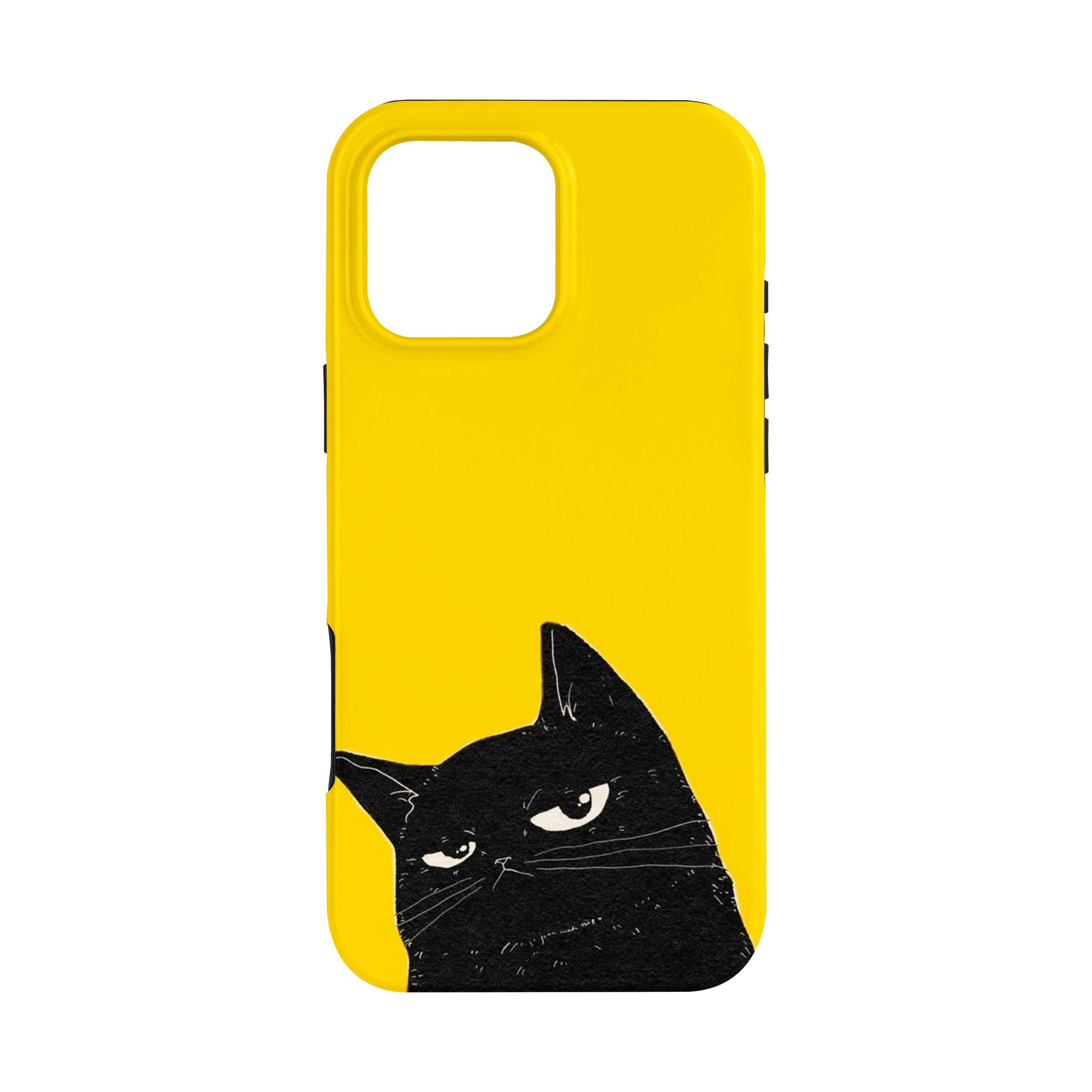 قاب دو لایه طرح فانتزی مدل آیفون Pro Max 16 | ضد ضربه و مقاوم